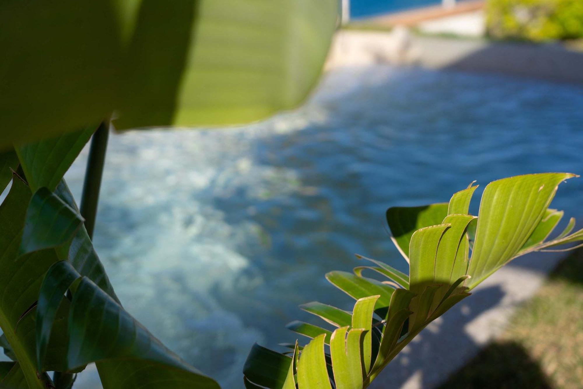 Villa Zagara Garden Spectacular Sea View In Ταορμίνα Εξωτερικό φωτογραφία